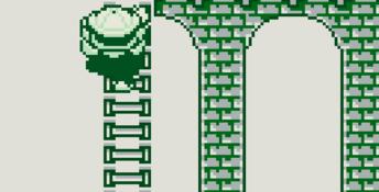 Wario Land: Super Mario Land 3 Gameboy Screenshot