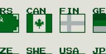 World Ice Hockey
