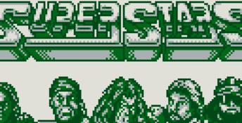 WWF Superstars Gameboy Screenshot