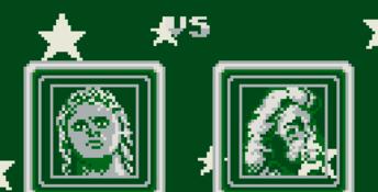 WWF Superstars