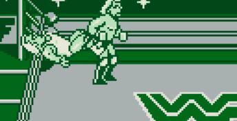 WWF Superstars Gameboy Screenshot