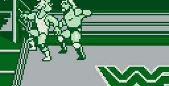 WWF Superstars Gameboy Screenshot