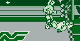 WWF Superstars Gameboy Screenshot