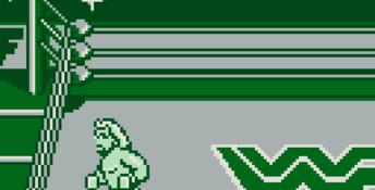 WWF Superstars Gameboy Screenshot