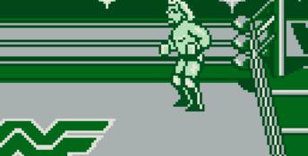 WWF Superstars Gameboy Screenshot