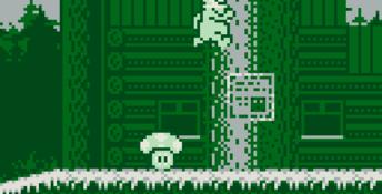 Yogi Bear In Yogi Bear's Goldrush Gameboy Screenshot