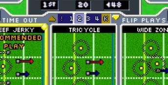Backyard Football 2006 GBA Screenshot
