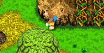 Banjo-Kazooie: Grunty's Revenge GBA Screenshot