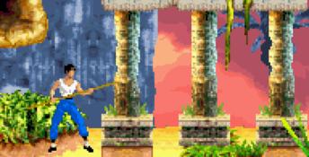 Bruce Lee: Return of the Legend GBA Screenshot