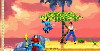 Bruce Lee: Return of the Legend GBA Screenshot