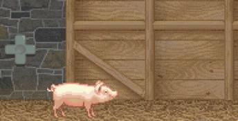 Charlotte's Web