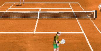 Davis Cup Tennis