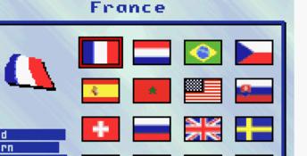 Davis Cup Tennis GBA Screenshot