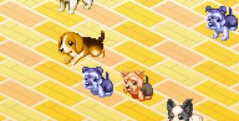 Dogz