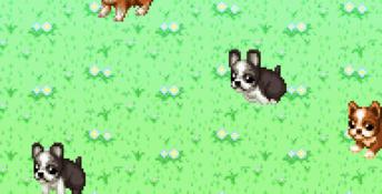 Dogz 2