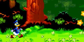 Donald Duck Advance