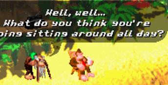 Donkey Kong Country 2 GBA Screenshot
