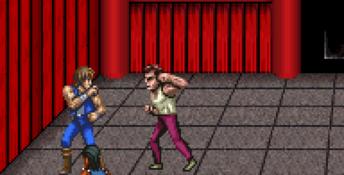 Double Dragon Advance