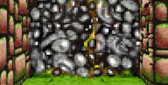 Dungeons & Dragons: Eye of the Beholder GBA Screenshot