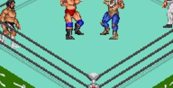 Fire Pro Wrestling 2