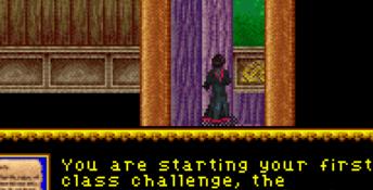 Harry Potter and the Sorcerer's Stone GBA Screenshot