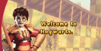 Harry Potter: Quidditch World Cup GBA Screenshot