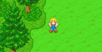 Harvest Moon: More Friends of Mineral Town