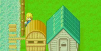 Harvest Moon: More Friends of Mineral Town