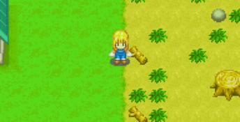 Harvest Moon: More Friends of Mineral Town GBA Screenshot