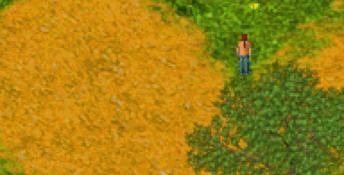 Horsez GBA Screenshot