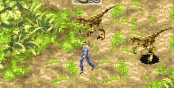 Jurassic Park 3: Island Attack GBA Screenshot