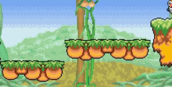 Klonoa 2: Dream Champ Tournament GBA Screenshot