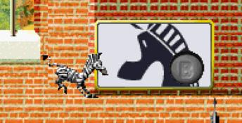 Madagascar GBA Screenshot