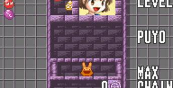 Puyo Pop GBA Screenshot