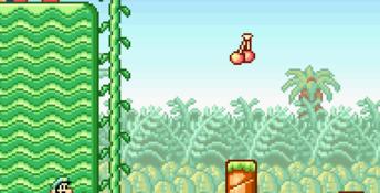 Super Mario Advance GBA Screenshot