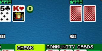 Texas Hold'em Poker