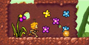 The Bee Game