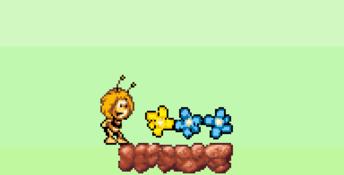 The Bee Game