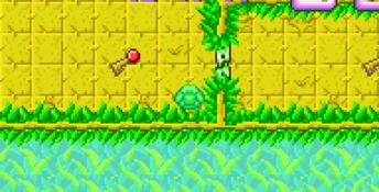 Turbo Turtle Adventure