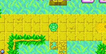 Turbo Turtle Adventure GBA Screenshot