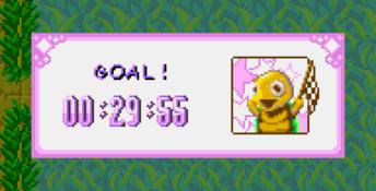 Turbo Turtle Adventure GBA Screenshot