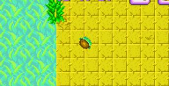 Turbo Turtle Adventure GBA Screenshot