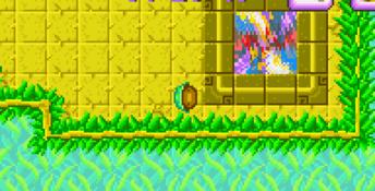 Turbo Turtle Adventure GBA Screenshot