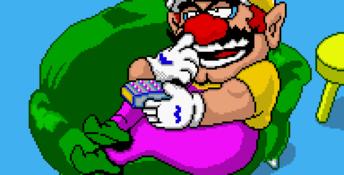 WarioWare, Inc.