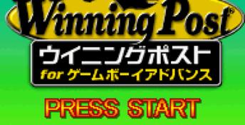 Winning Post GBA Screenshot