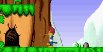 Woody Woodpecker Crazy Castle 5 GBA Screenshot
