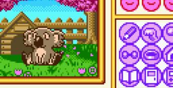 Animal Breeder 3 GBC Screenshot