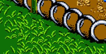 Antz Racing GBC Screenshot