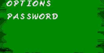 Antz World Sportz