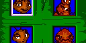 Antz World Sportz